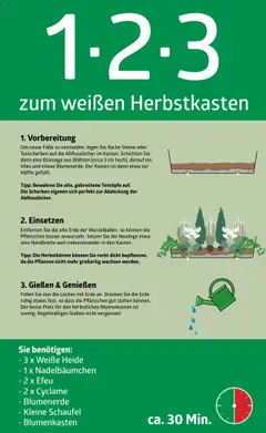 Vorschau der Angebote: bellaflora 1-2-3 zum weißen Herbstkasten gültig ab 13.02.2023