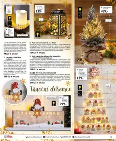 Náhled nabídky: Velký Košík Katalog říjen platný od 01.10.2025 | Strana: 41