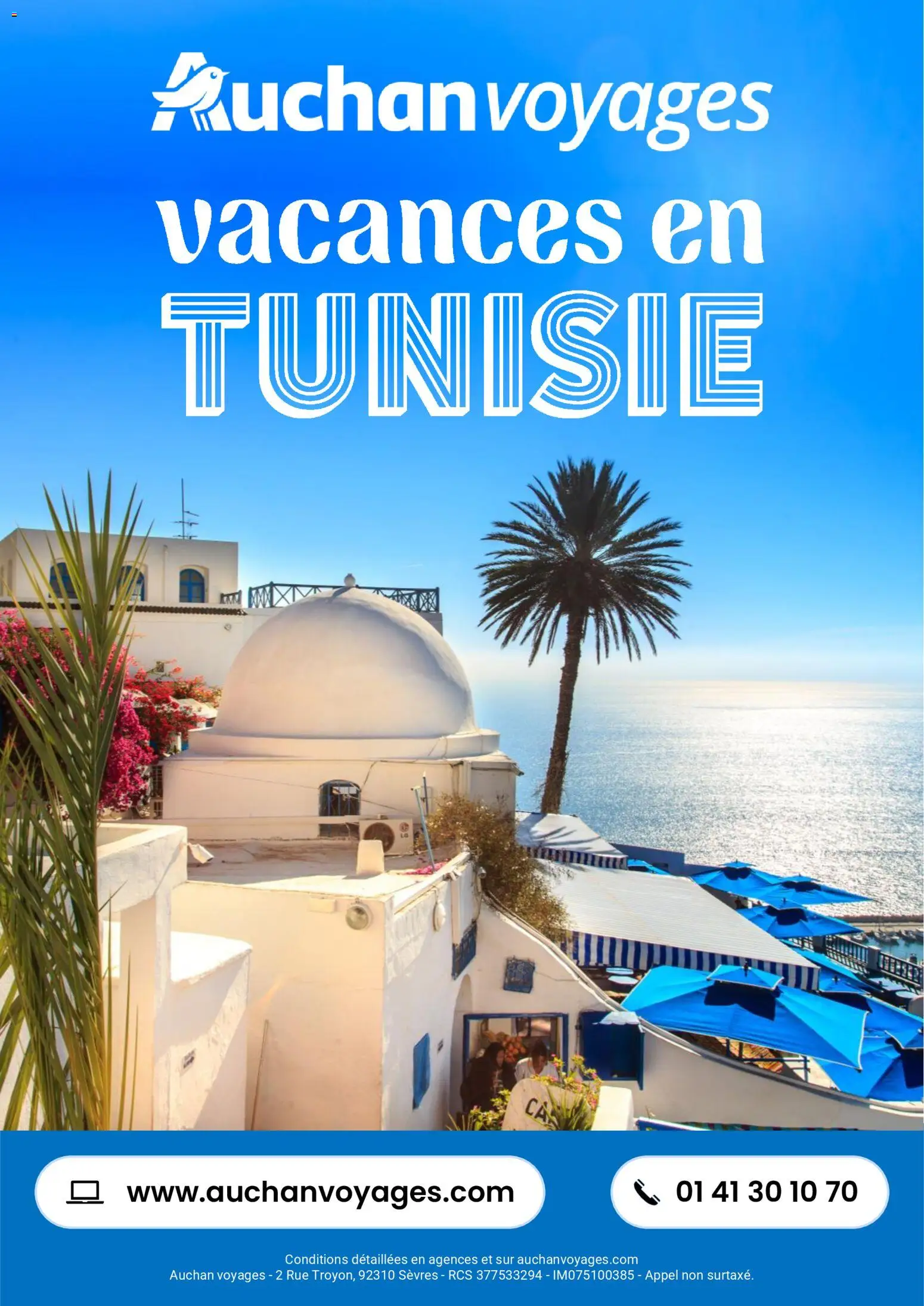 Voorbeeld van Auchan voyages : vacances en Tunisie van winkel Auchan geldig vanaf 01/03/2026 - Appel