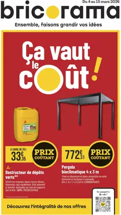 Prévisualisation de Bricorama catalogue du magasin Bricorama formulaire valide 04/03/2026