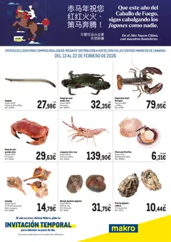Vista previa del folleto de la tienda Makro válido desde el 13/02/2026 