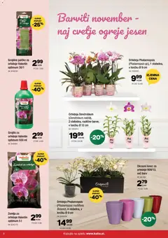 Predogled kataloga iz trgovine Kalia veljaven od 10.11.2025 | Stran: 8