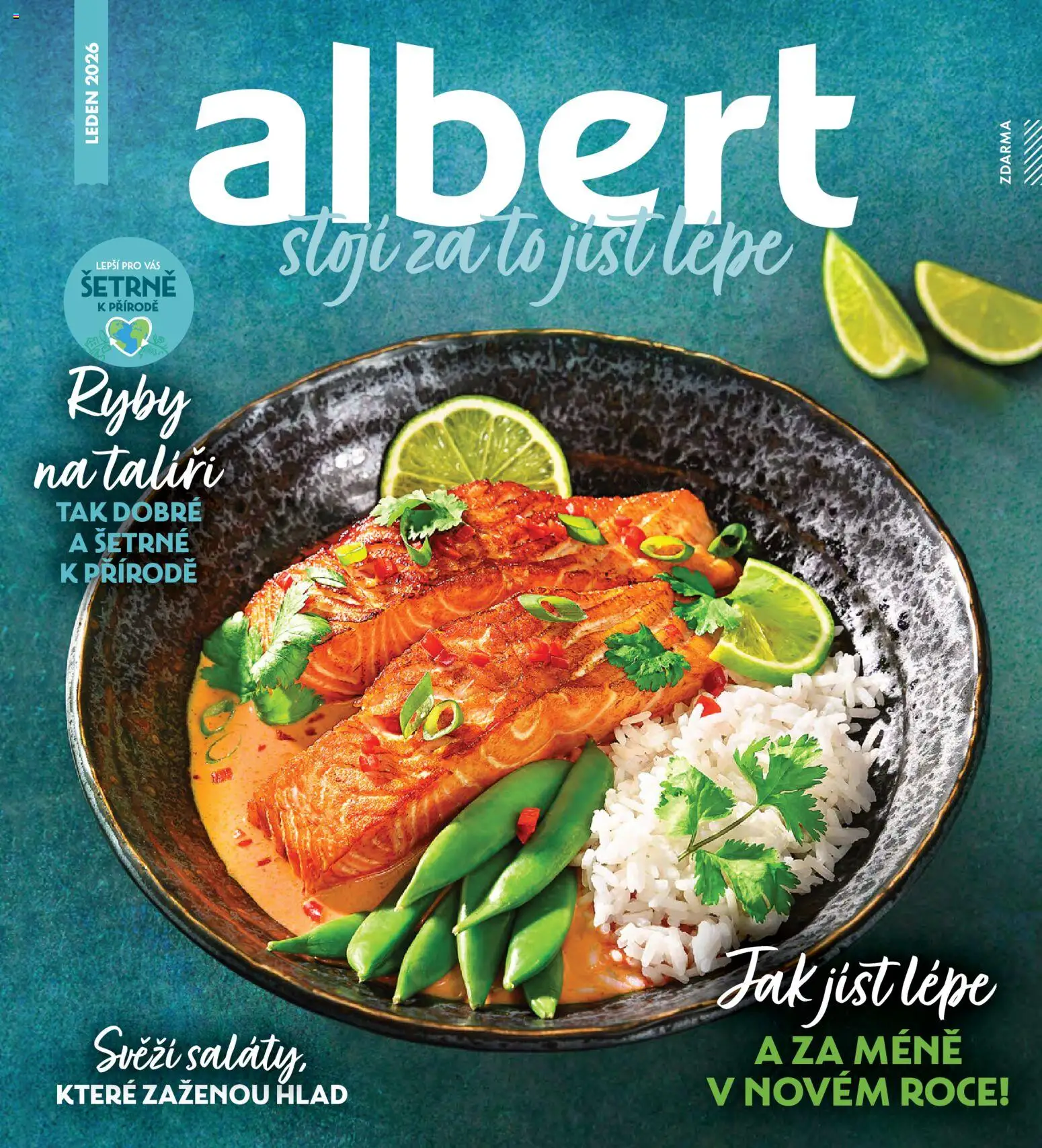 Náhled nabídky: Albert Magazín platný od 01.01.2026