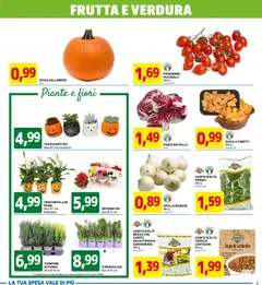 Anteprima dell'opuscolo Attuale volantino dal negozio D Più valido da 27/10/2025 | Pagina: 3
