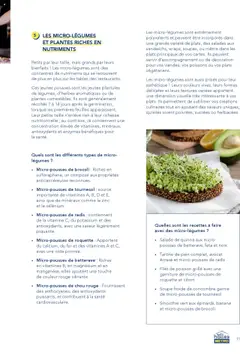 Prévisualisation de Catalogue du magasin METRO formulaire valide 01/01/2025 | Page: 11