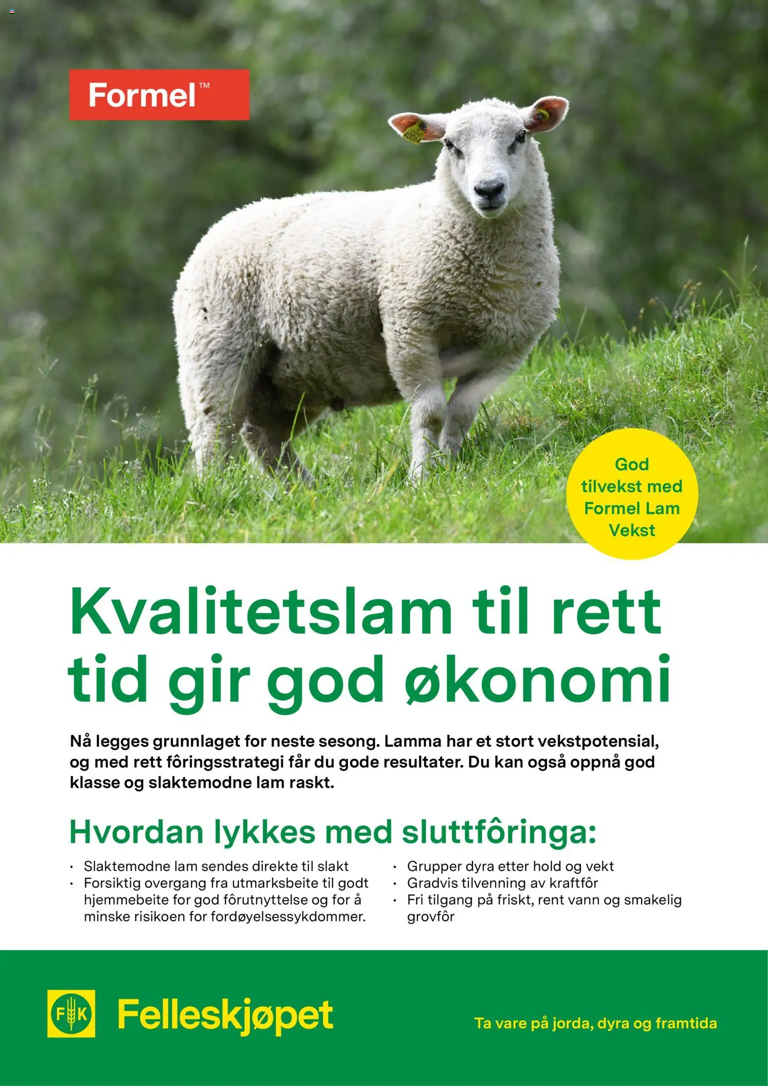 Forhåndsvis Kvalitetslam til rett tid gir god økonomi fra butikk Felleskjøpet gyldig fra 02/01/2026