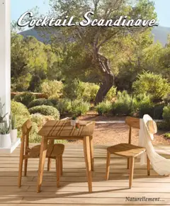 Prévisualisation de Catalogue du magasin Cocktail Scandinave formulaire valide 12/05/2025