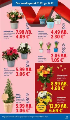 Преглед на Седмична брошура 50 от магазин Лидл - Офертата е валидна от 08.12.2025 | Cтраница: 55