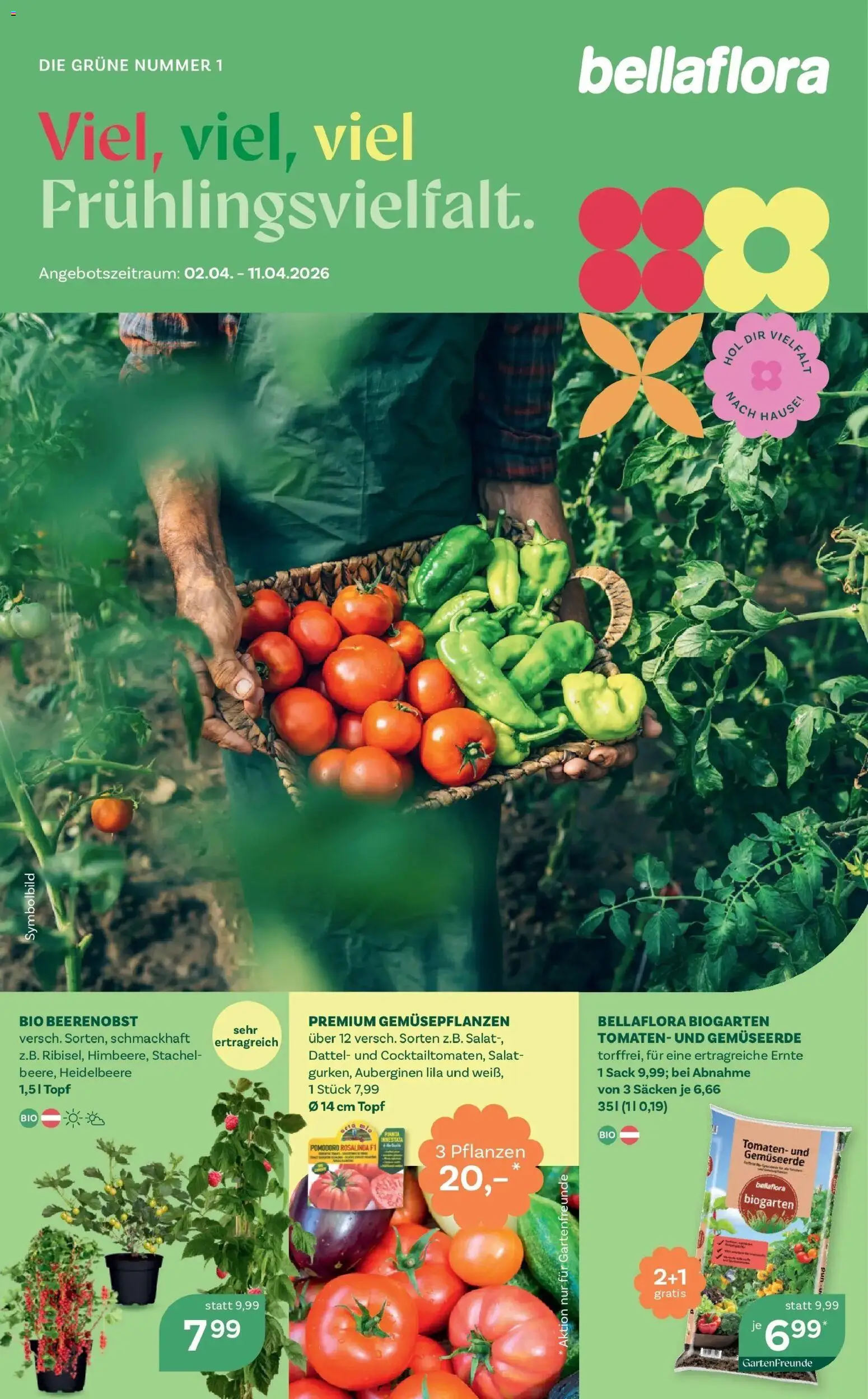 Vorschau der Angebote: bellaflora bellaflora Flugblatt - Villach, Wien, Vösendorf gültig ab 02.04.2026 - Salat, Tomaten, Dattel