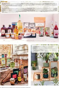 Prévisualisation de Catalogue du magasin Alinéa formulaire valide 01/05/2024 | Page: 62