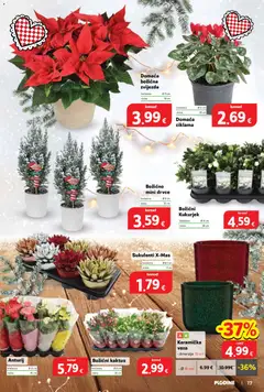 Pregled letka Katalog trgovine Plodine vrijedi od 19.11.2025 | Stranica: 17