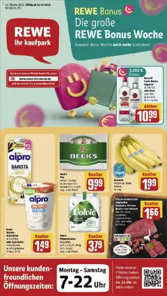 Vorschau von dem Prospekt des Geschäftes Rewe, gültig ab dem 13.10.2025