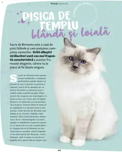 Previzualizarea de cataloage: Fressnapf Catalog - Vară valabil de la 05.05.2025 | Pagina: 44