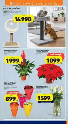 Aldi - Akciós újság Aldi megtekintése, amely érvényes 2025.12.11.-től | Oldal: 37