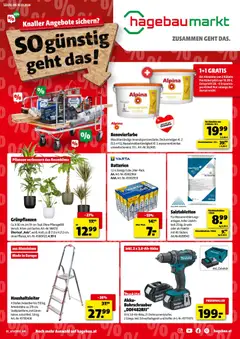 Vorschau der Angebote: Hagebau Flugblatt gültig ab 29.12.2025