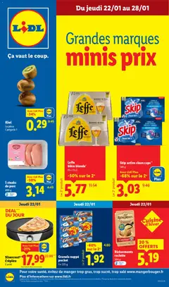 Prévisualisation de Catalogue de la semaine 4 du magasin LIDL formulaire valide 22/01/2026