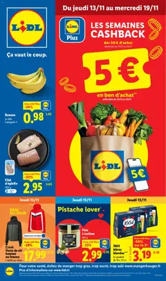 Prévisualisation de Catalogue de la semaine 46 du magasin LIDL formulaire valide 13/11/2025