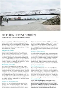 Vorschau von dem Prospekt des Geschäftes Sport2000, gültig ab dem 10.09.2025 | Seite: 3