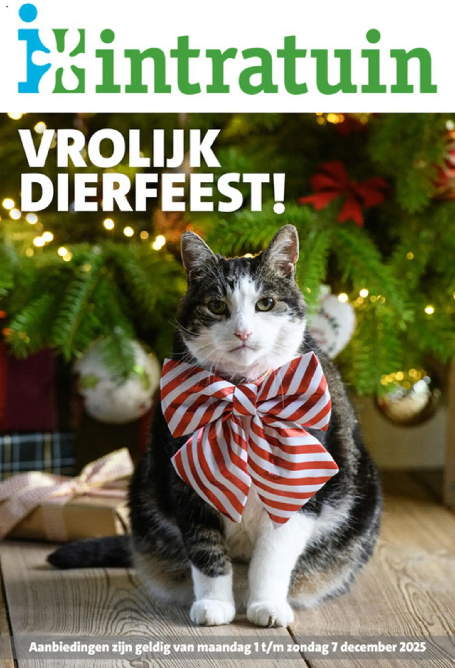 Voorbeeld van Dier folder van winkel Intratuin geldig vanaf 01-12-2025