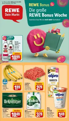 Vorschau von dem Prospekt des Geschäftes Rewe, gültig ab dem 13.10.2025