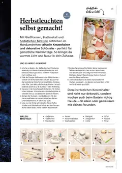 Vorschau der Angebote: Pagro-Diskont Ideenwerk gültig ab 17.09.2025 | Seite: 15