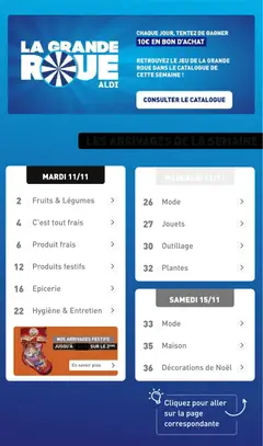 Prévisualisation de Catalogue de la semaine 46 du magasin Aldi formulaire valide 11/11/2025 | Page: 3