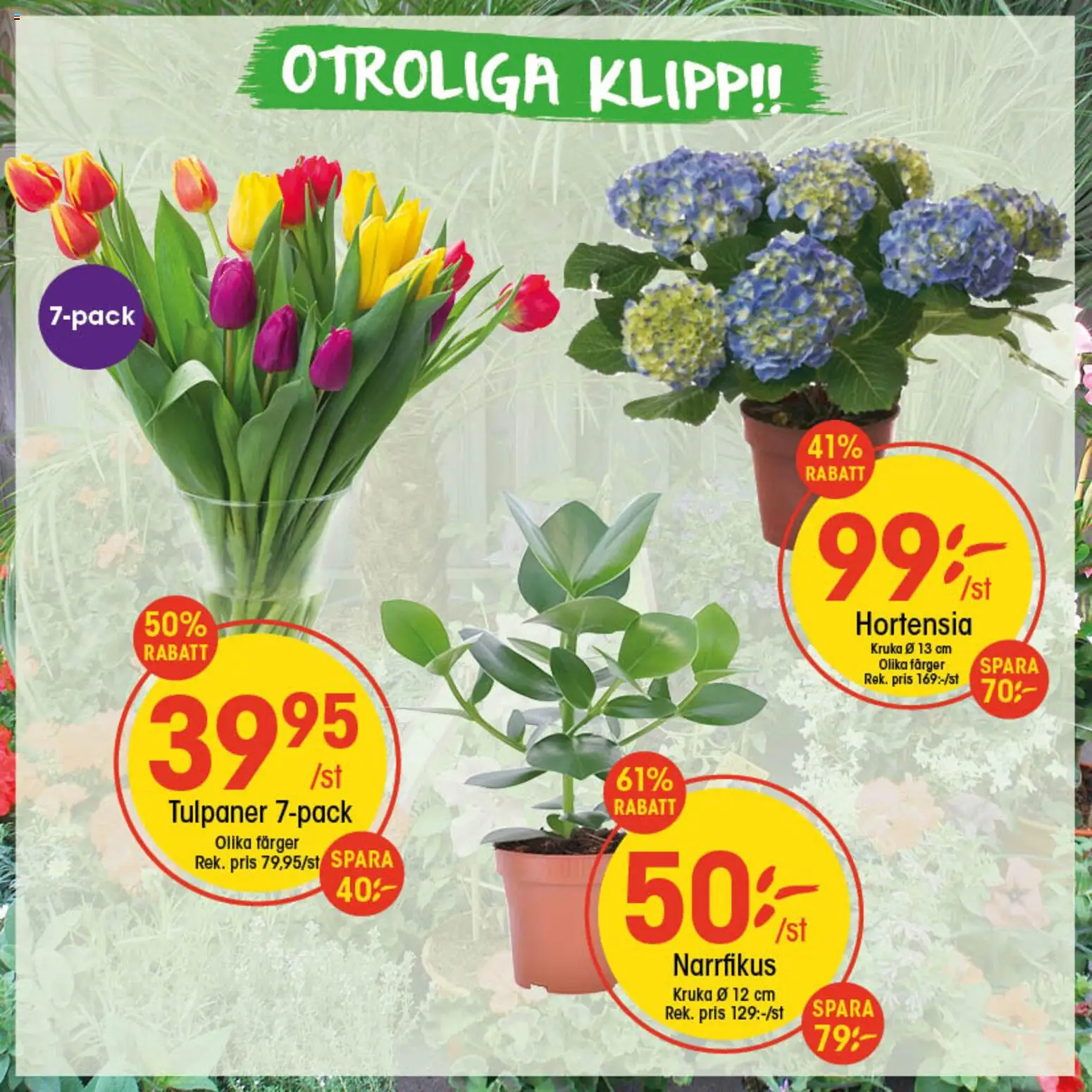Förhandsgranska reklamblad Aktuella reklamblad EKO från butik EKO gäller från 26/01/2026 - Kruka, Tulpaner