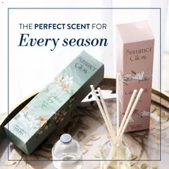 Preview of Volpes flyer valid from 25/03/2026