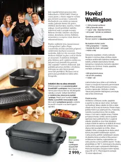 Náhled nabídky: TESCOMA Katalog - Podzim/zima 2025 platný od 20.10.2025 | Strana: 24