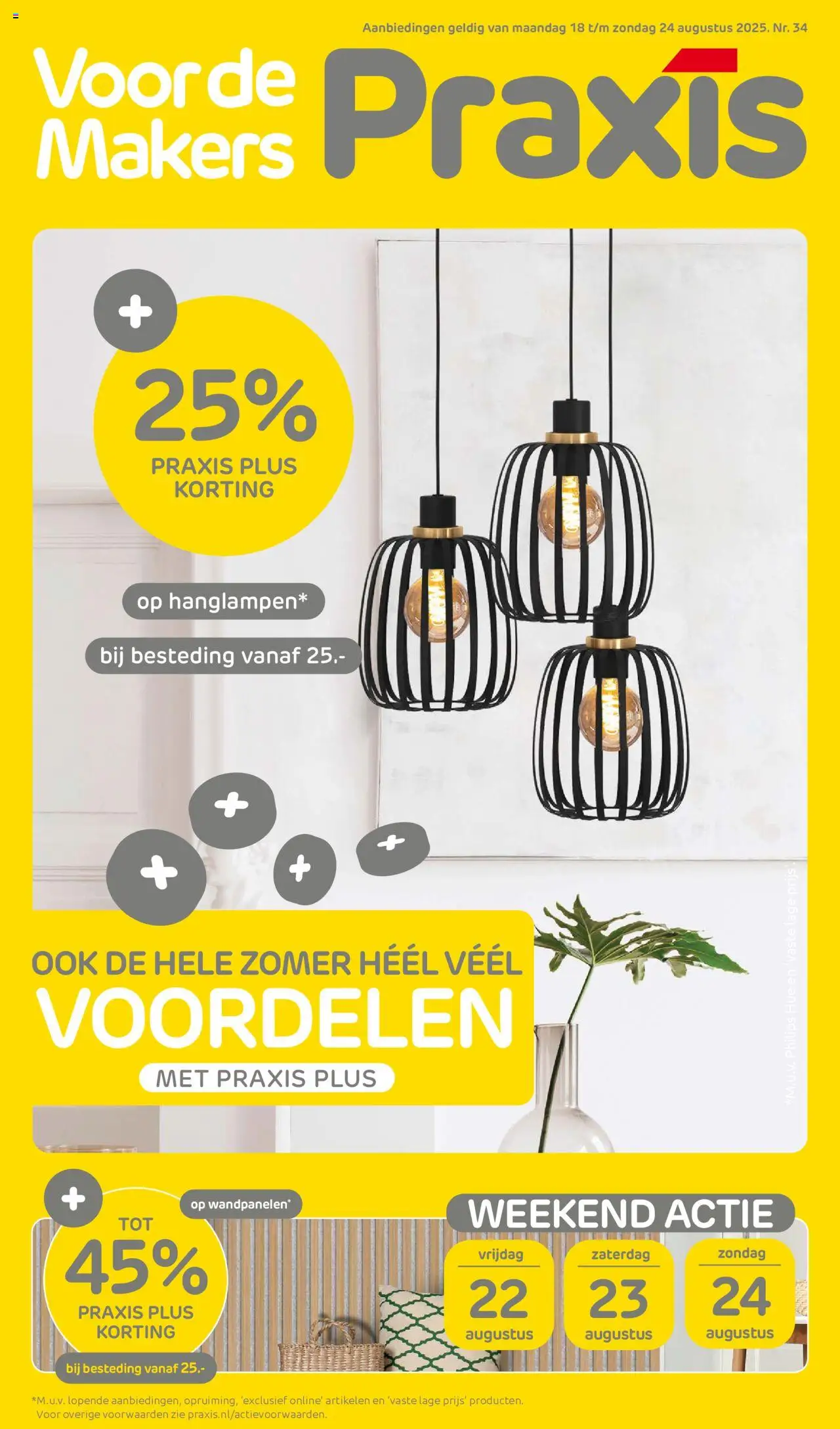 Praxis shop Folder geldig vanaf 18-08-2025 - Paginanummer 1