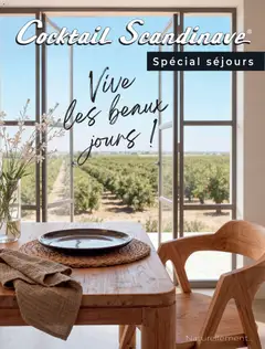 Prévisualisation de Cocktail Scandinave catalogue du magasin Cocktail Scandinave formulaire valide 26/04/2026