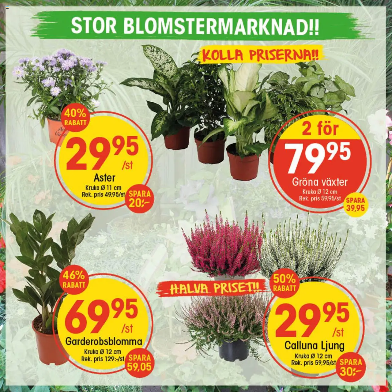 Aktuella reklamblad EKO är giltig 01/09 2025 > Veckans Erbjudanden gäller från 01/09/2025 till sidnummer 1