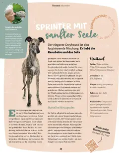 Vorschau von dem Prospekt des Geschäftes Fressnapf, gültig ab dem 01.09.2025 | Seite: 34