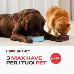 Anteprima dell'opuscolo Max Factory volantino dal negozio Max Factory valido da 03/03/2026