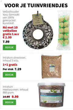 Voorbeeld van Folder van winkel Intratuin geldig vanaf 10-11-2025 | Pagina: 11