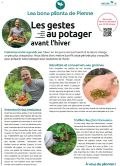 Prévisualisation de Catalogue du magasin Mr. Bricolage formulaire valide 22/09/2025 | Page: 91