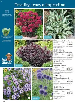 Náhled nabídky: Starkl Katalog podzim 2025 platný od 01.08.2025 | Strana: 44