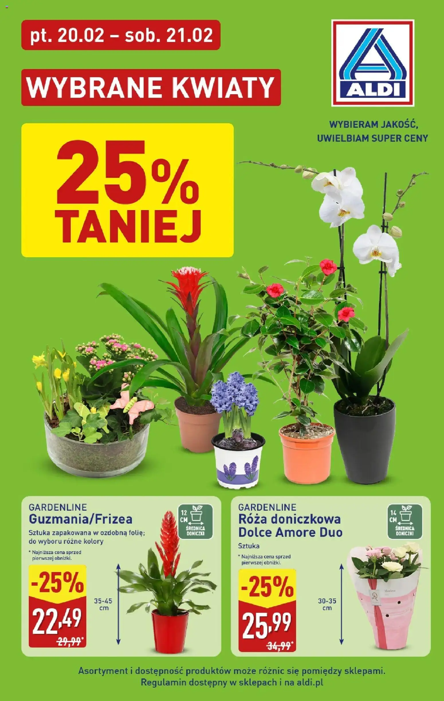 Pogląd gazetki "Kwiaty" ze sklepu Aldi ważnej od 20.02.2026