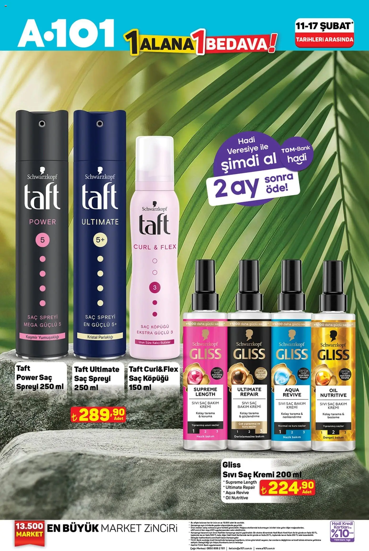 A101 1 Alana 1 Bedava 11.02.2026 - Broşürünün önizlemesi - Saç spreyi, Saç Kremi
