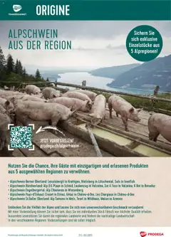 Vorschau des Merkblatts Aktionen Alpschwein aus der Region vom Shop Prodega gültig von 21.07.2025 bis 26.07.2025