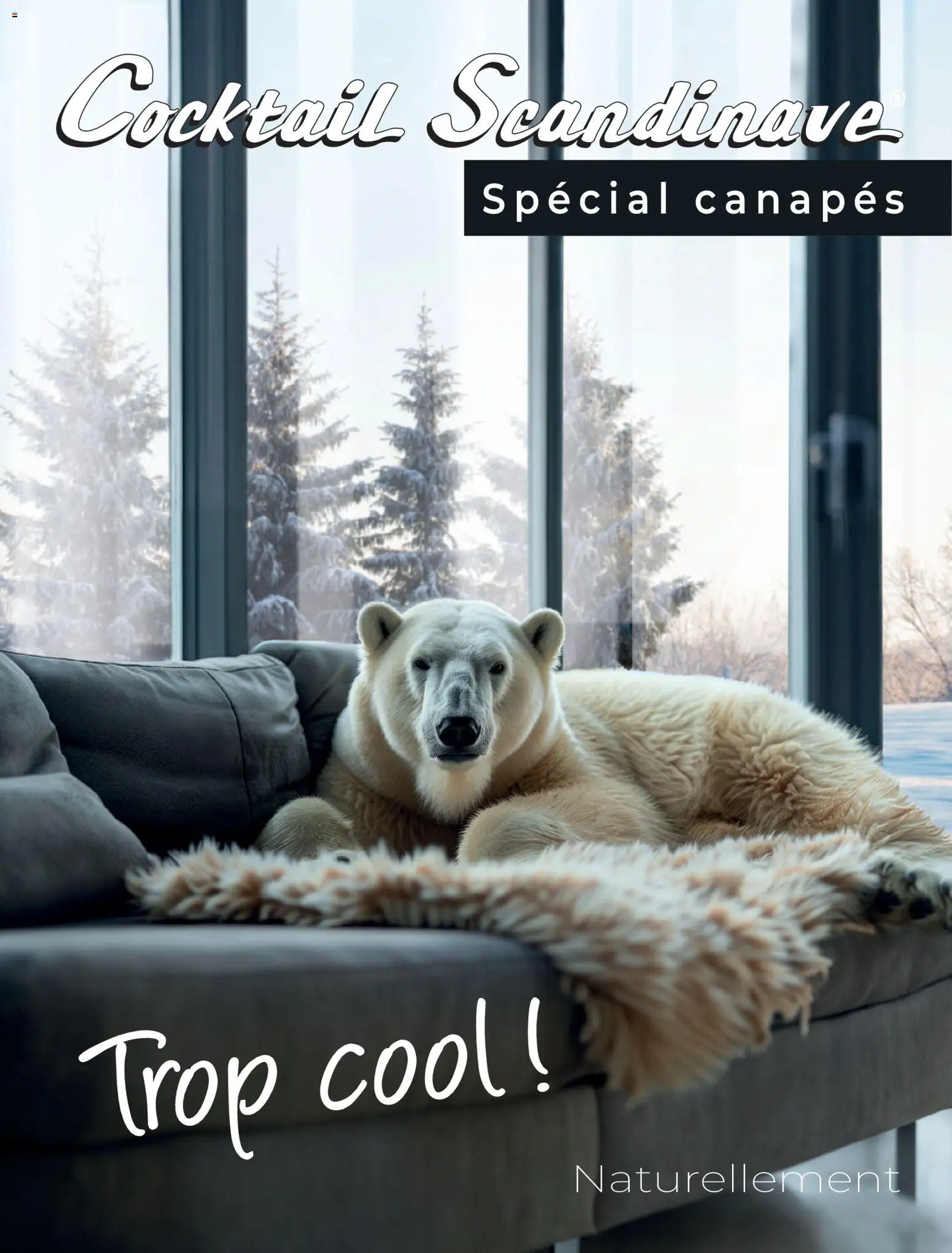 Prévisualisation de Catalogue du magasin Cocktail Scandinave formulaire valide 18/02/2026