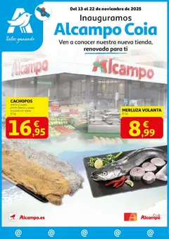 Vista previa del folleto de la tienda Alcampo válido desde el 13/11/2025 