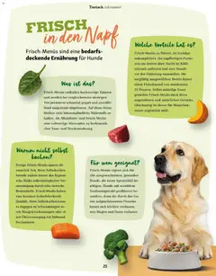 Vorschau der Angebote: Fressnapf Friends 06/25 gültig ab 01.11.2025 | Seite: 25