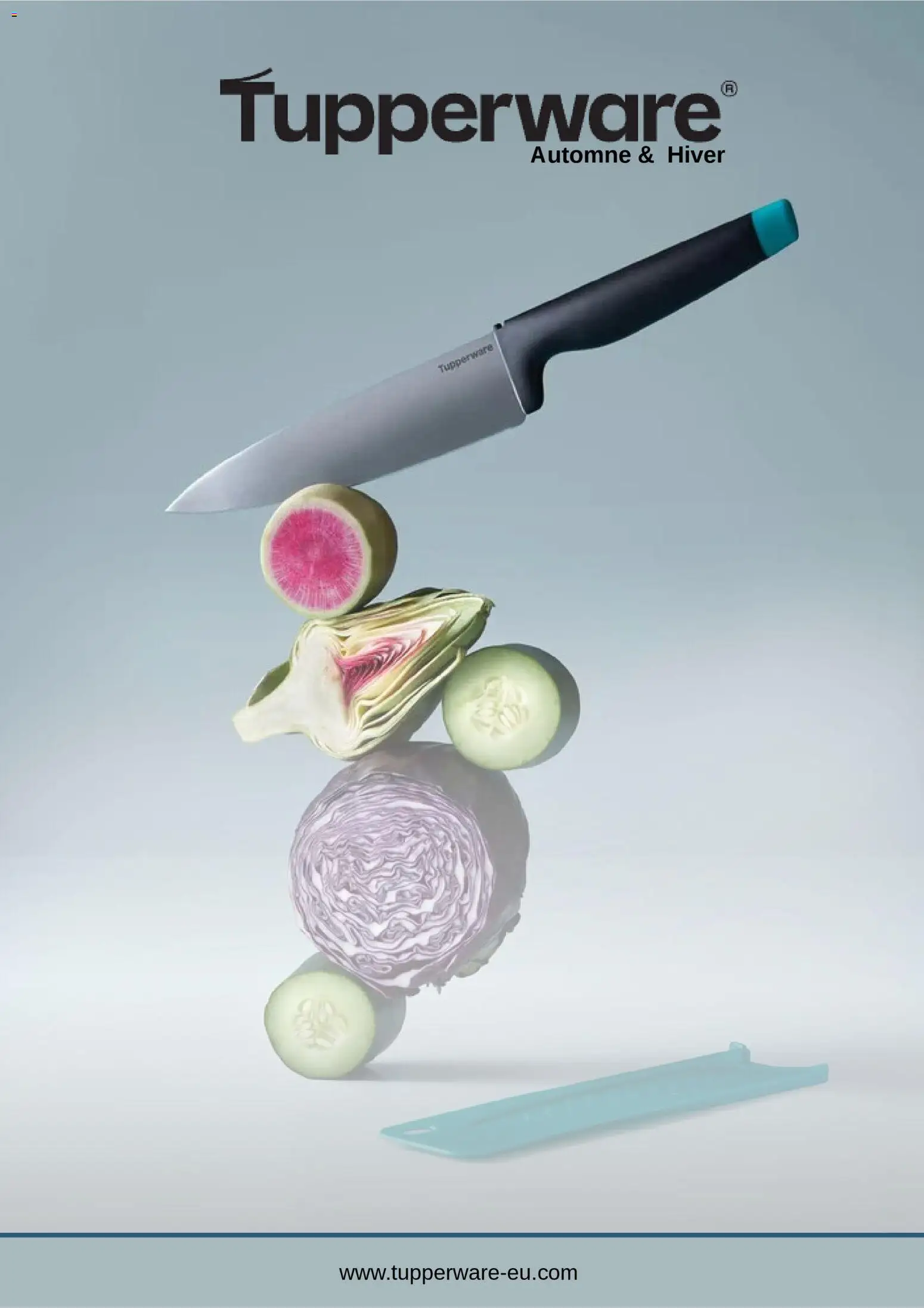 Prévisualisation de Catalogue Tupperware Hiver du magasin Tupperware formulaire valide 02/12/2025