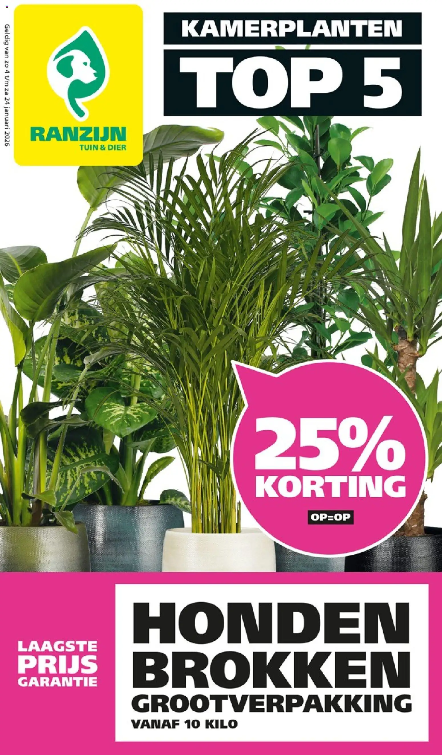 Voorbeeld van Folder van winkel Ranzijn geldig vanaf 04-01-2026 - Kamerplanten