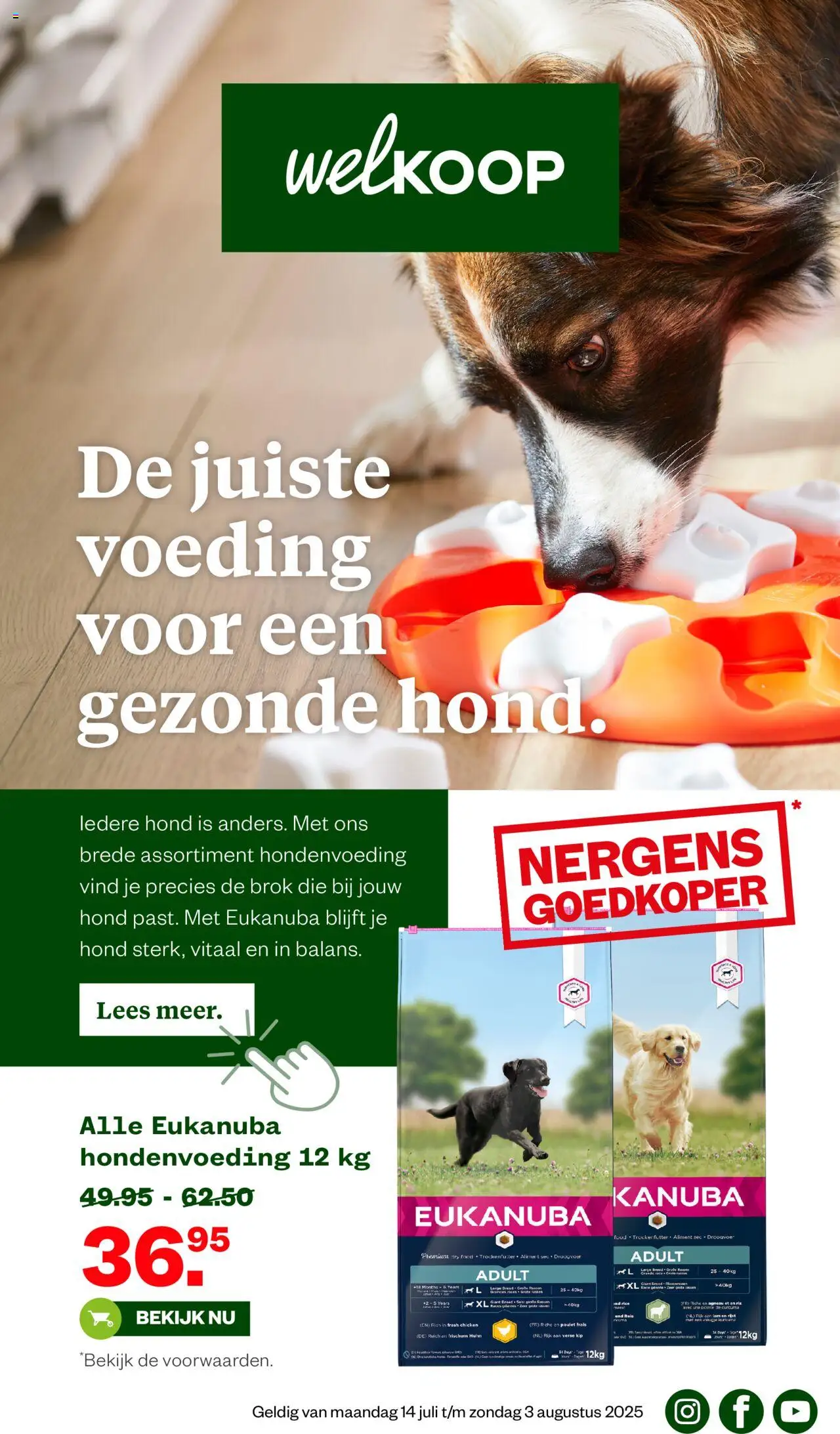 Welkoop shop Folder geldig vanaf 14-07-2025 - Paginanummer 1 - Kip