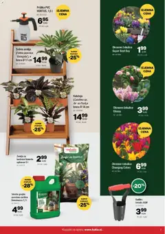 Predogled kataloga iz trgovine Kalia veljaven od 20.10.2025 | Stran: 7