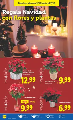 Vista previa del folleto de la tienda Lidl válido desde el 01/12/2025 | Página: 52