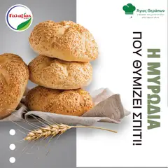 Προεπισκόπηση φυλλαδίου Προσφορές από το κατάστημα Γαλαξίας σε ισχύ από 13/01/2026