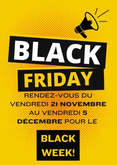 Prévisualisation de Black Friday avis du magasin Brico Dépôt formulaire valide 13/11/2025